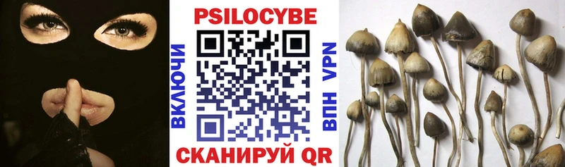 Галлюциногенные грибы Psilocybine cubensis Новошахтинск